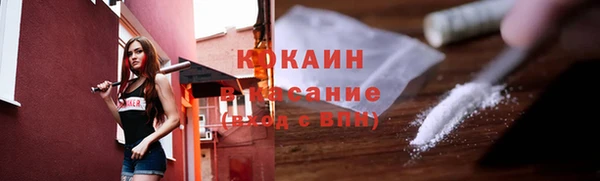 мет Бородино