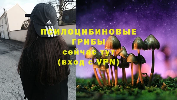 прущий лед Бугульма